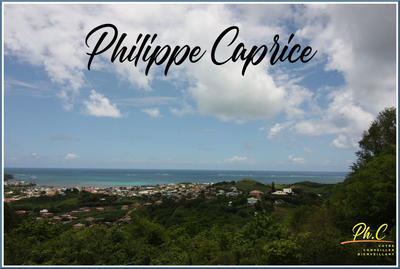 Terrain - 43 000 m²