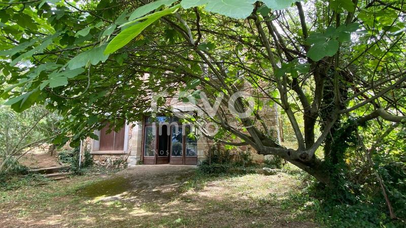 Propriété viticole - 251 m² - 11 pièces