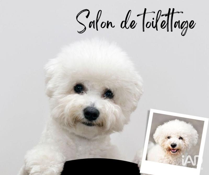 Local commercial - 27 m²