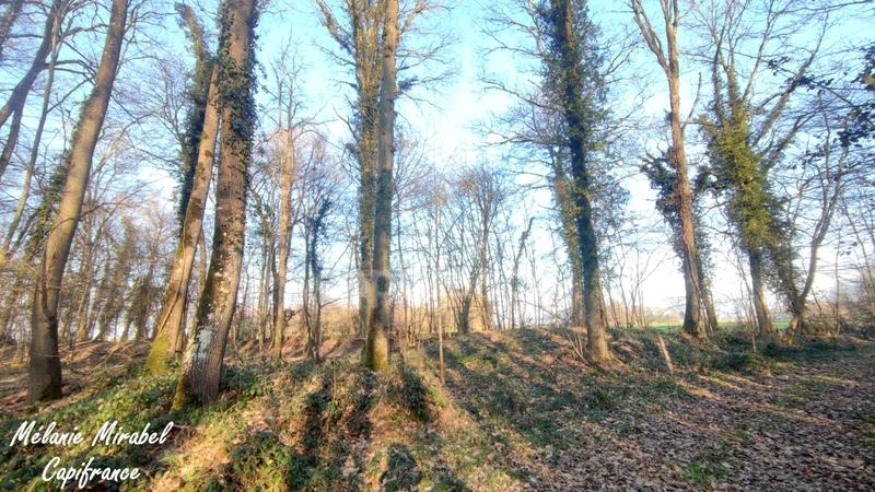 Terrain de loisirs - 3 640 m²