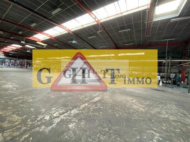 Entrepôt - 10 635 m²