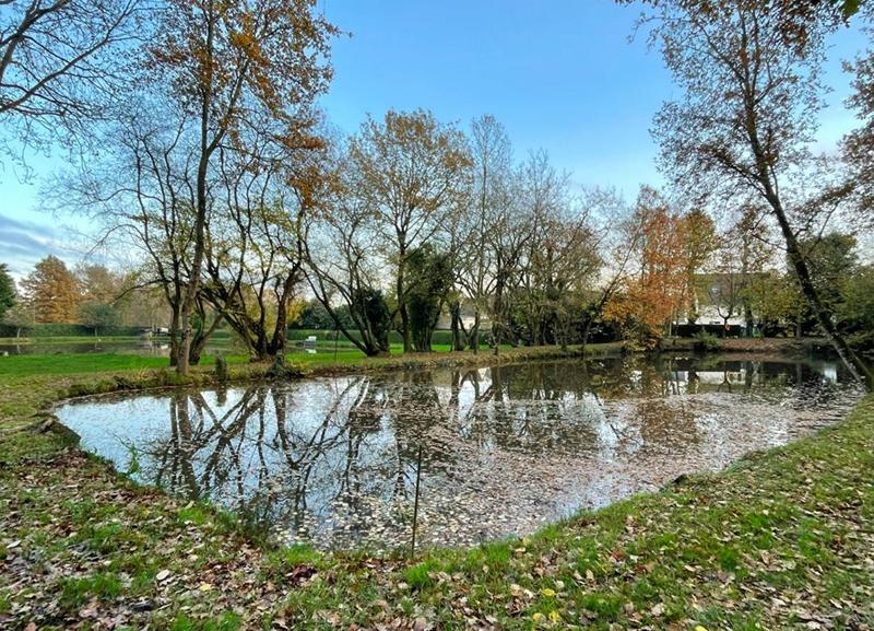 Terrain de loisirs - 8 950 m²