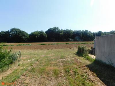 Terrain - 1 557 m²