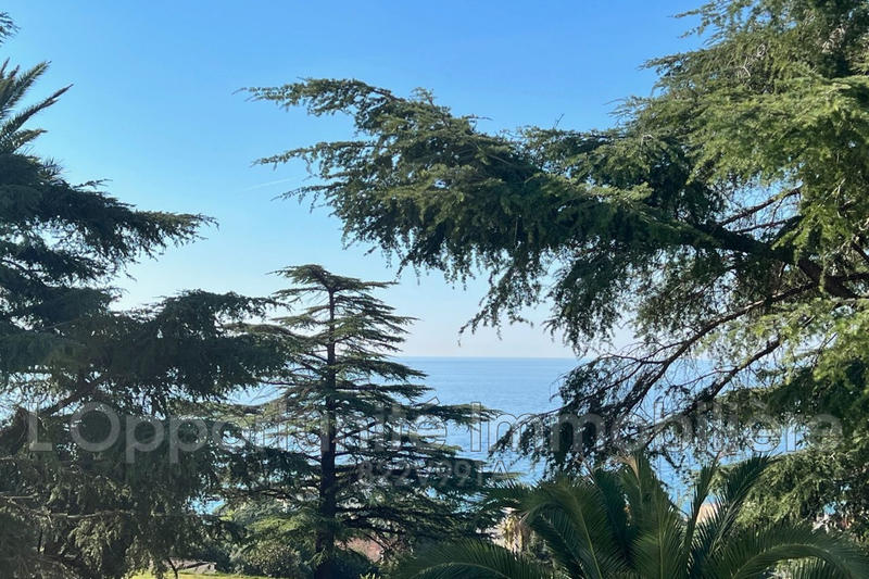 Appartement - 39 m² - 1 pièce