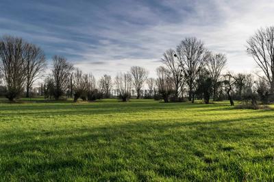 Terrain constructible - 600 m²