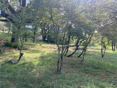 Terrain constructible - 1 375 m²