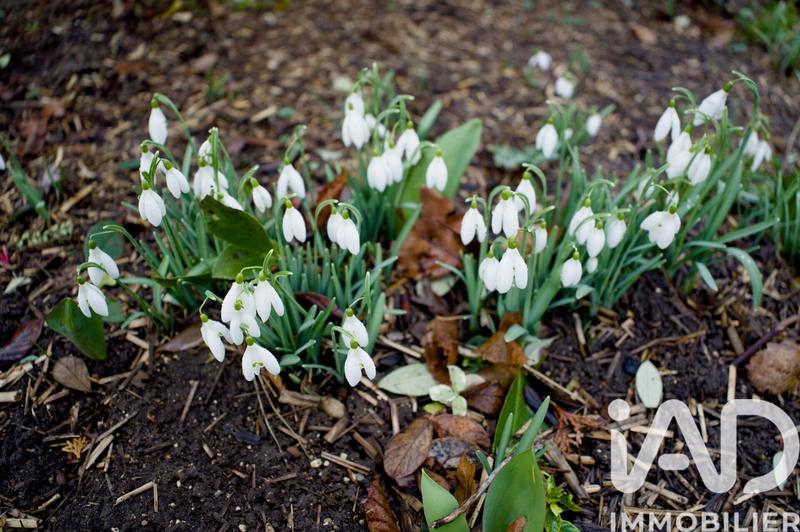 Maison - 81 m² - 5 pièces