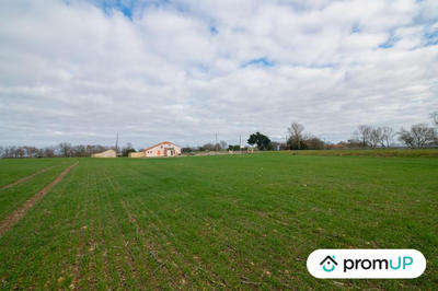 Terrain agricole - 6 000 m²