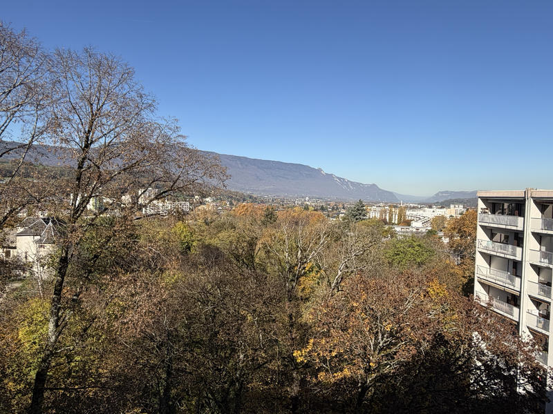 Appartement - 35 m² - 1 pièce