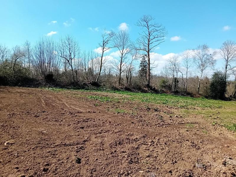 Terrain de lotissements - 613 m²