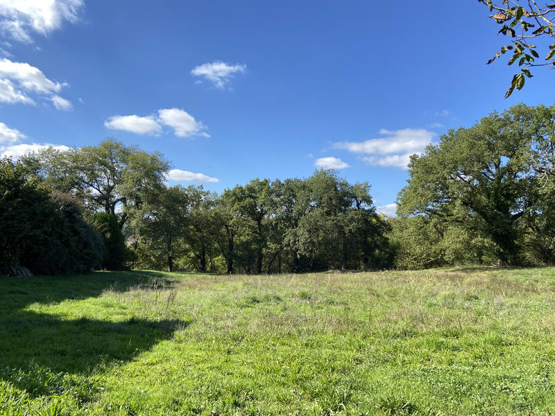 Maison - 173 m² - 11 pièces