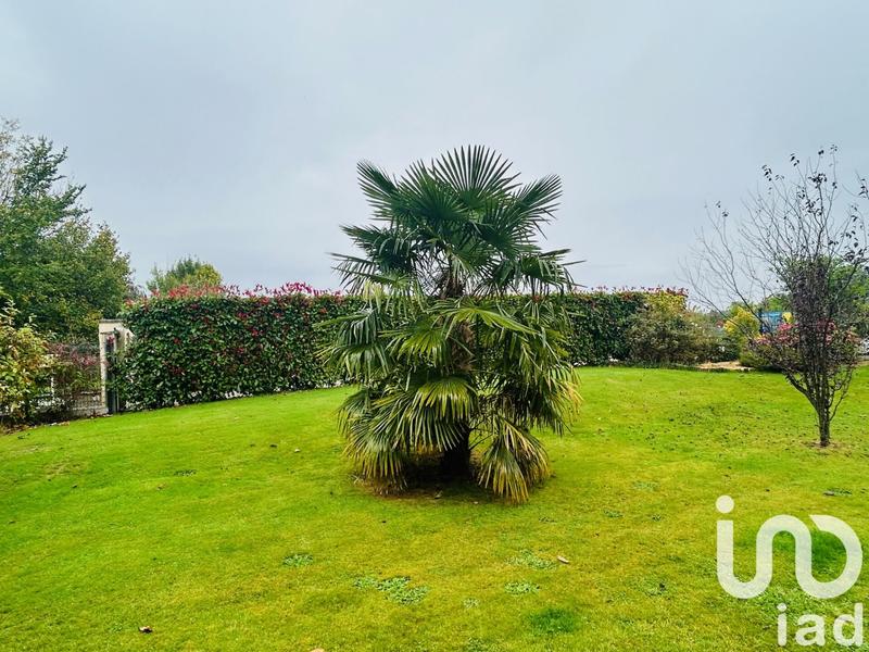 Maison - 125 m² - 6 pièces