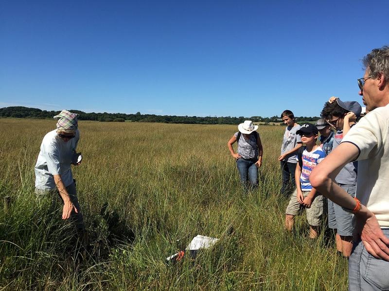 Voyage en tourbière