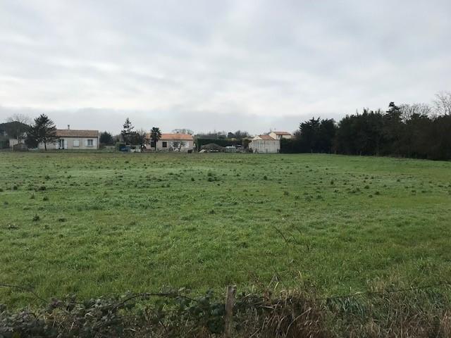 Terrain constructible - 350 m²