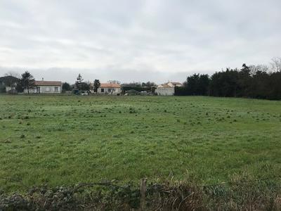 Terrain constructible - 350 m²