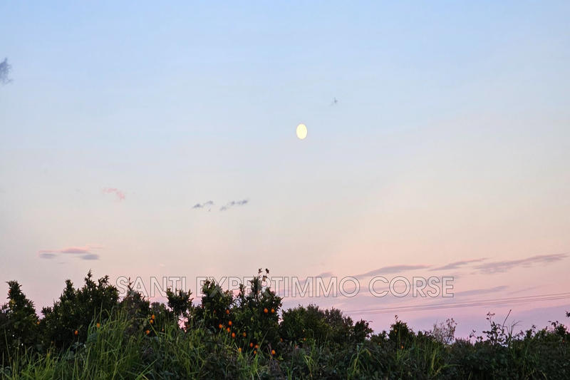 Villa - 160 m² - 4 pièces