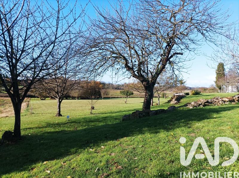 Maison de maîtres - 230 m² - 7 pièces