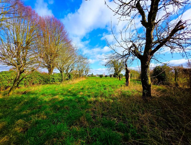 Maison - 175 m² - 6 pièces