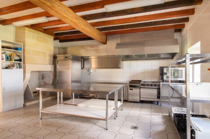 Château - 1 160 m² - 20 pièces