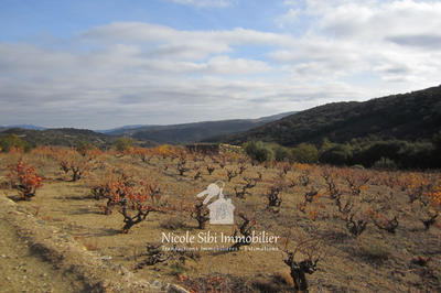 Terrain agricole - 8 700 m²