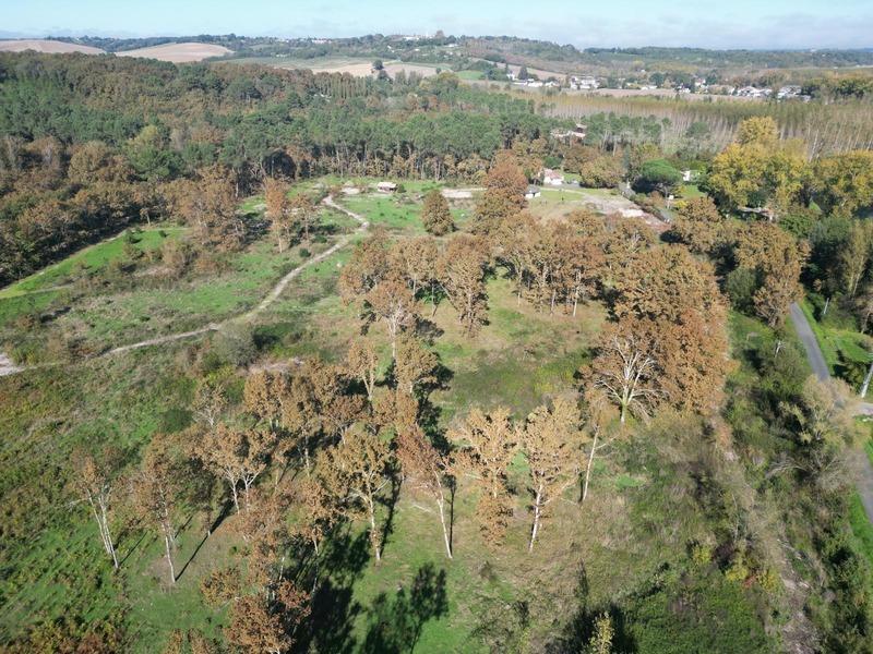 Terrain - 31 811 m²