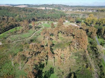 Terrain - 31 811 m²