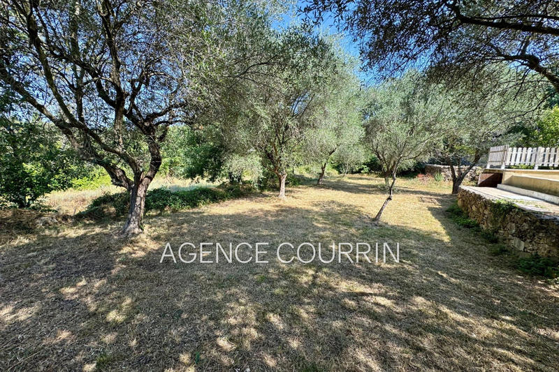 Maison - 205 m² - 5 pièces