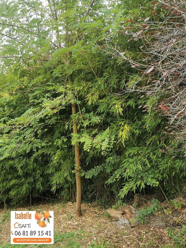 Maison - 102 m² - 4 pièces