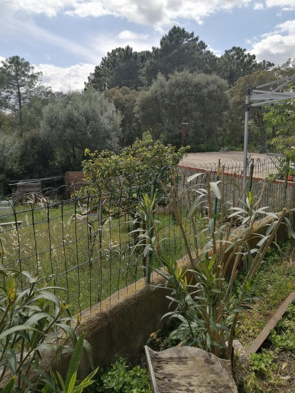 Maison - 292 m² - 10 pièces