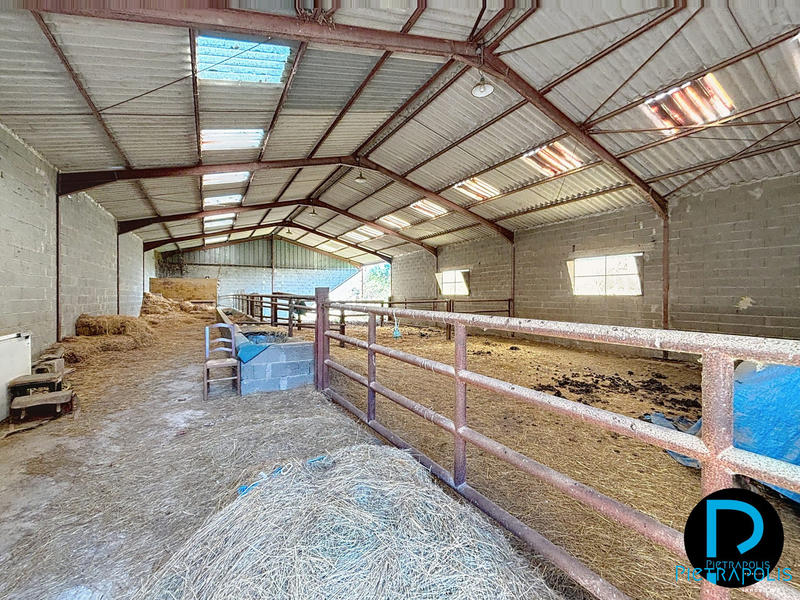 Maison - 334 m² - 7 pièces