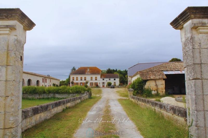 Propriété viticole - 653 m² - 24 pièces