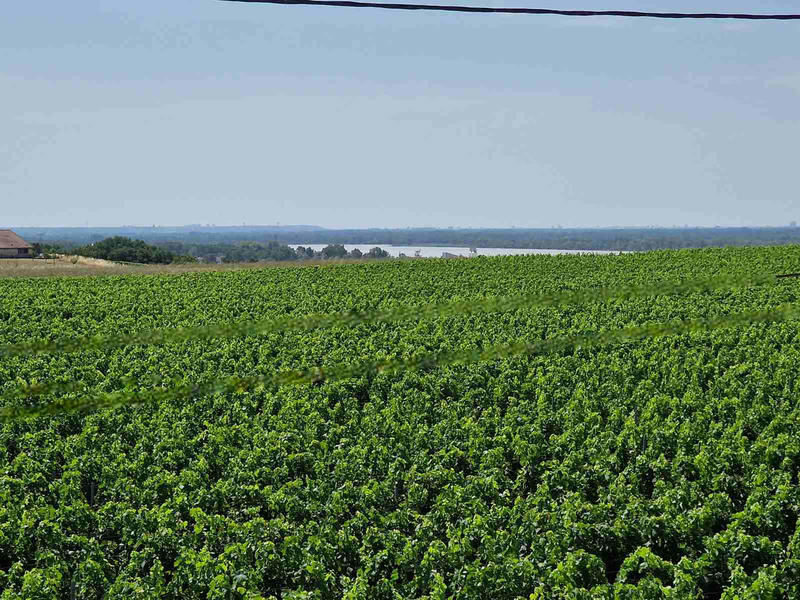 Maison - 229 m² - 8 pièces