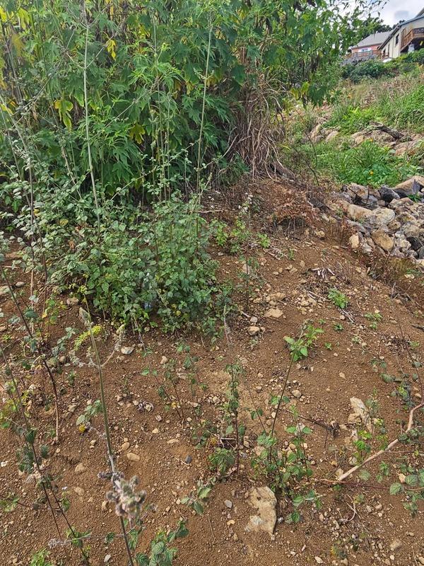 Terrain constructible - 1 997 m²