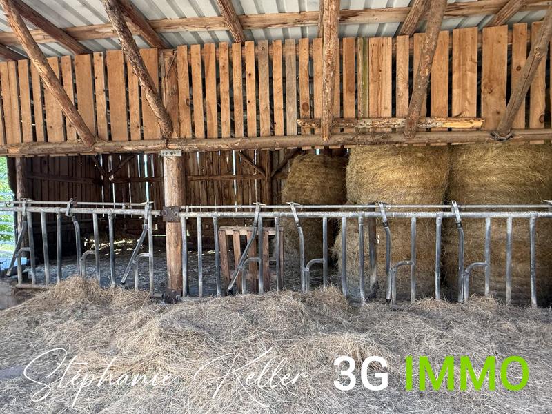 Maison - 119 m² - 5 pièces