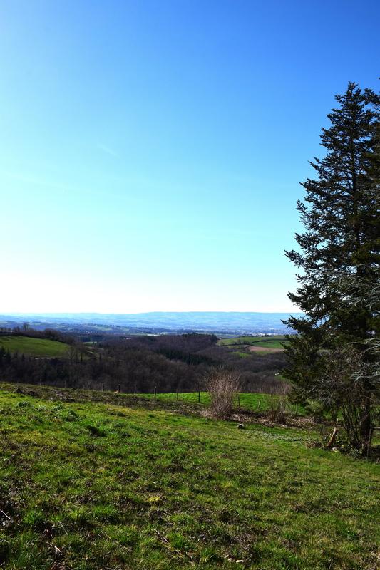 Terrain constructible - 1 245 m²