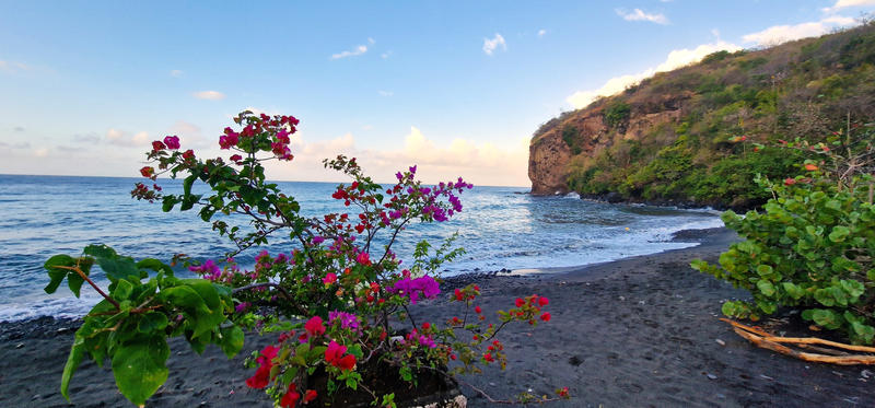 Appartement - 50 m² - 3 pièces