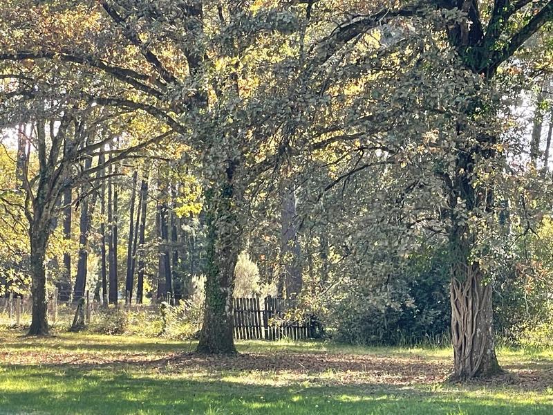 Maison - 280 m² - 6 pièces