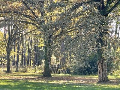 Maison - 280 m² - 6 pièces