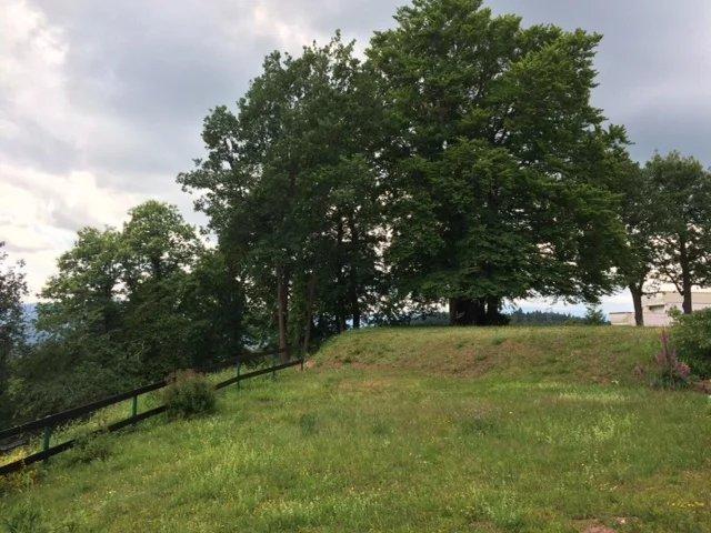 Studio - 29 m² - 1 pièce