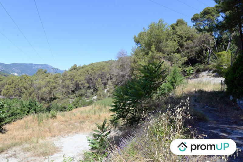 Terrain - 10 000 m²