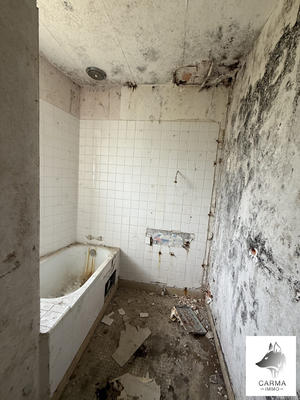 Maison ancienne - 70 m² - 3 pièces