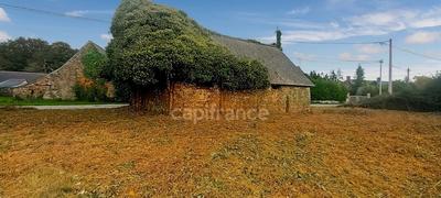 Grange - 60 m² - 1 pièce