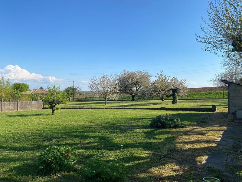 Maison de maîtres - 221 m² - 8 pièces