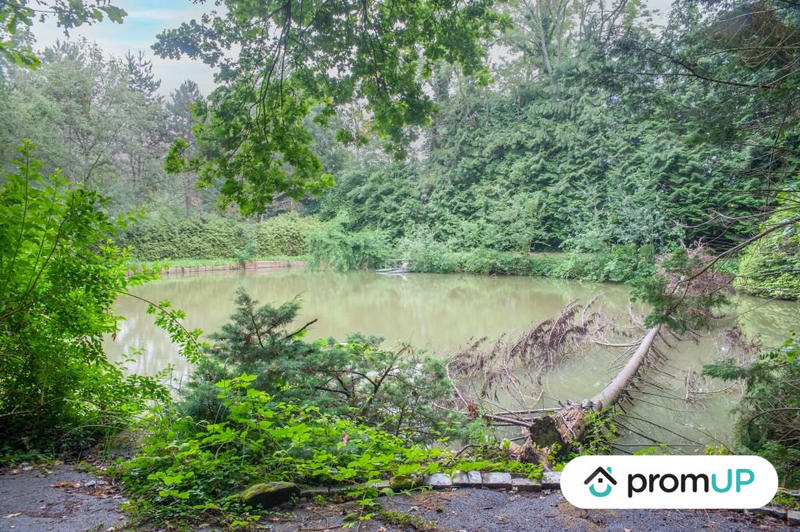 Terrain de loisirs - 6 460 m²