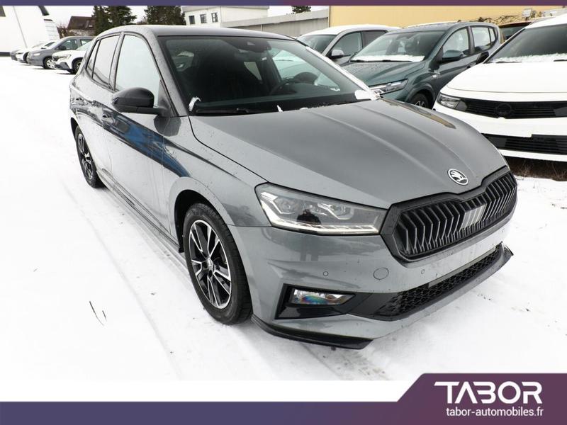 Skoda Fabia 116 Dsg MonteC Pano Kessy Cam Radar