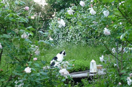 Les Maisons Fougère &amp; la Bulle à Parfums