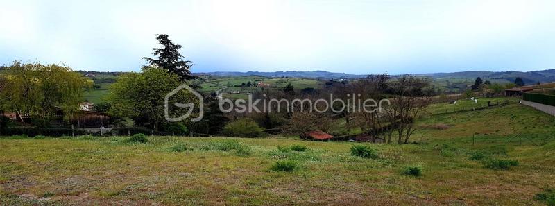 Terrain - 843 m²