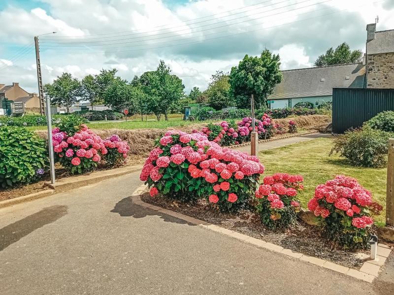 Maison - 56 m² - 2 pièces