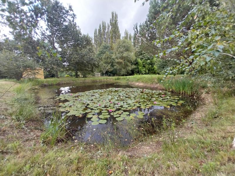 Maison - 94 m² - 5 pièces