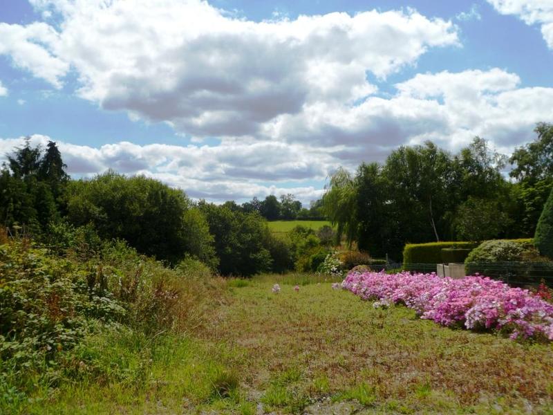 Terrain constructible - 1 037 m²